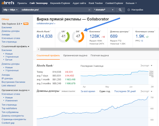 Как проверить DR в Ahrefs